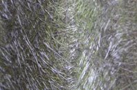 Avening Green fibreglass roof work